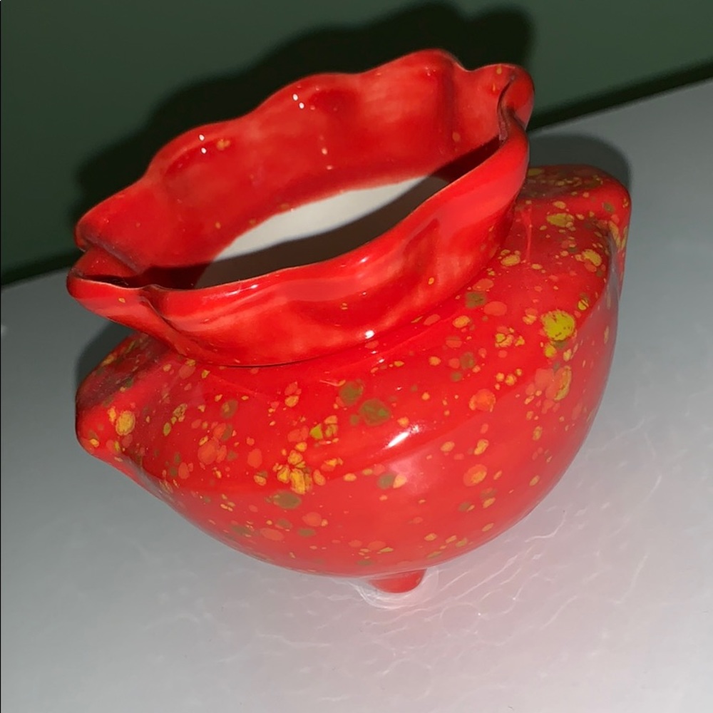 Plant holder